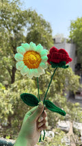 Beautiful rose