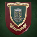 Comms Squadron 30 Commando IX Gp