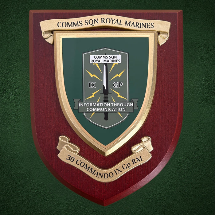 Comms Squadron 30 Commando IX Gp