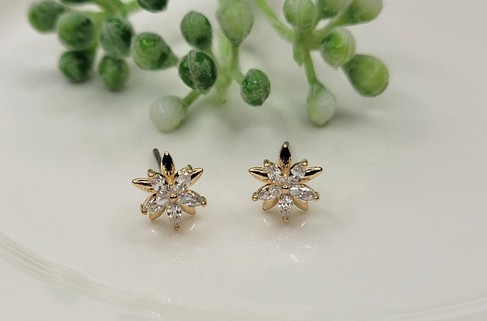 Double Star Post Earrings