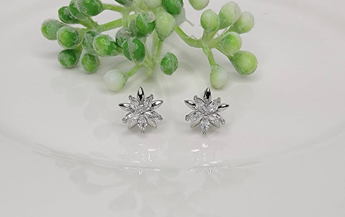 Double Star Post Earrings