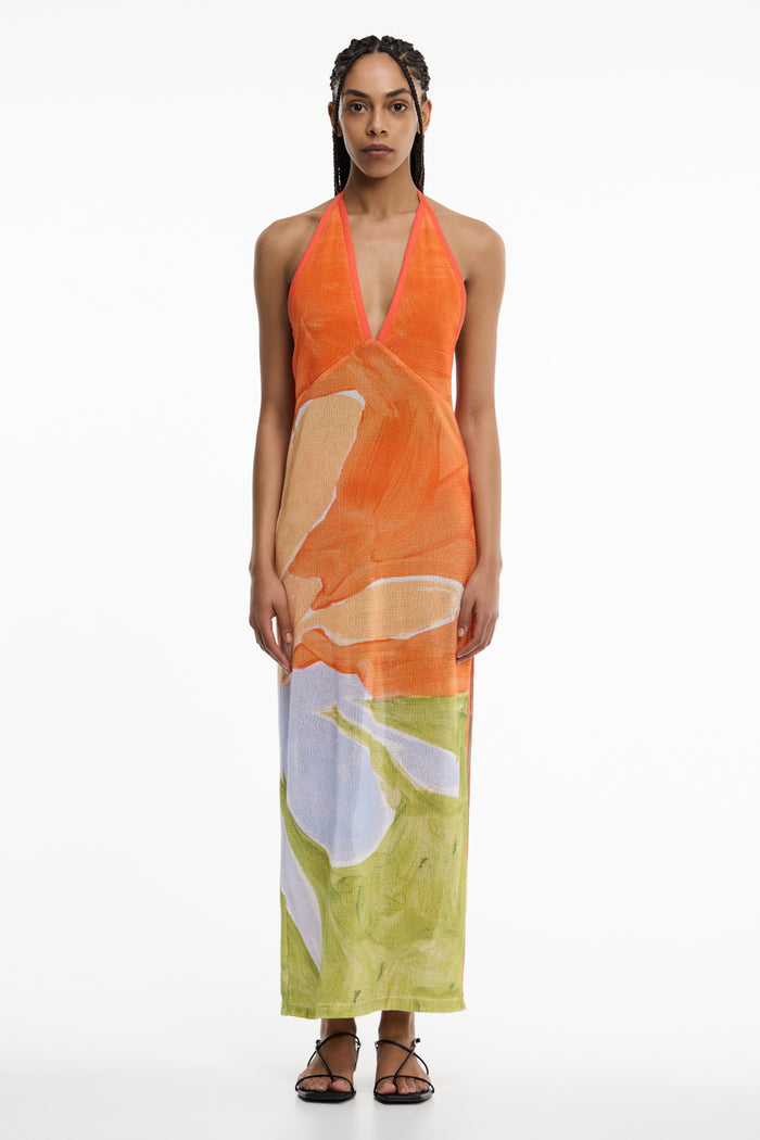 D2-SL260124D_LULU_MAXI_DRESS-STAMPED_POPPY-1