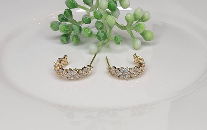 Mini  Hoop Earrings