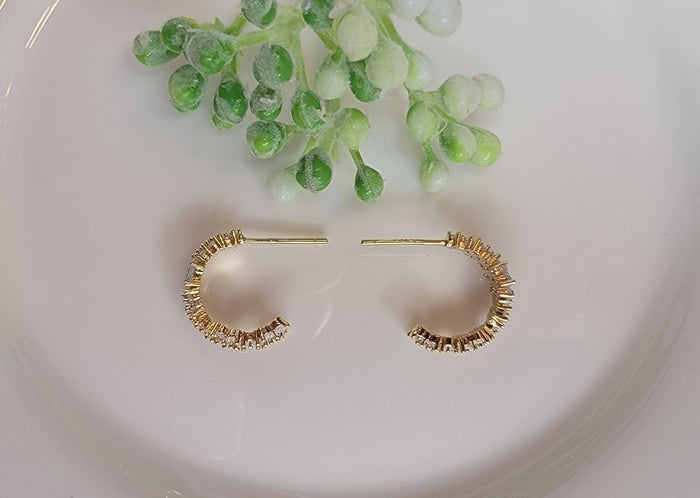 Mini  Hoop Earrings